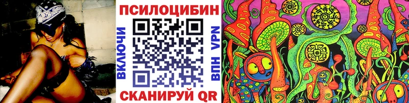 Псилоцибиновые грибы мицелий  цены   Ветлуга 